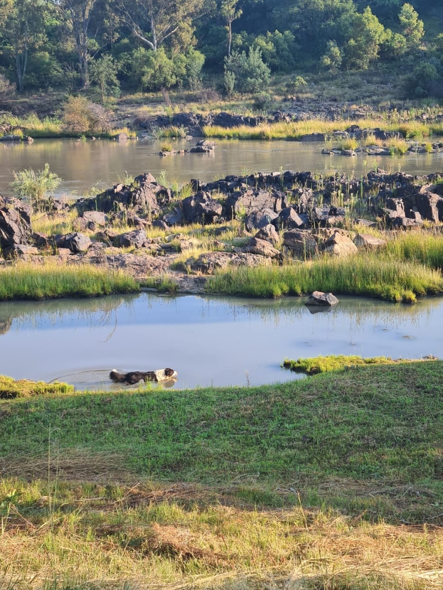 4 Bedroom Property for Sale in Deneysville Free State